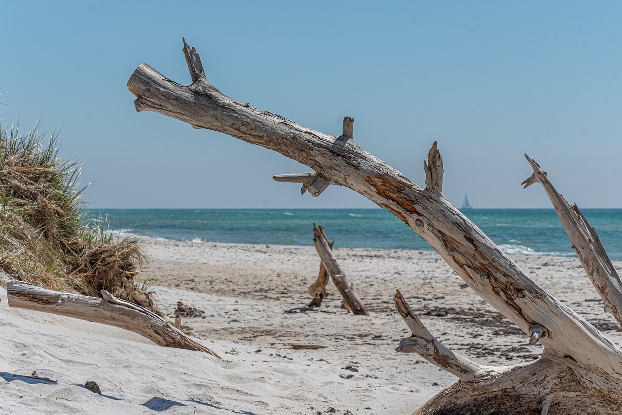 Mojacar Beach, close to La Alfoquia